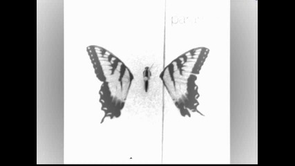 Paramore - 7.Feeling Sorry