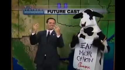 The Rapping Weatherman does the weather with a cow 