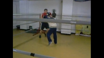 Marti Iva box 2 