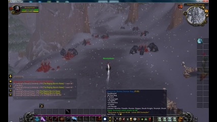world of warcraft - fun server - Един от бъговете на fun servers