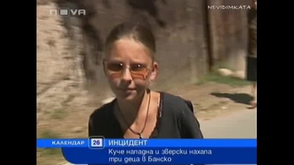 Куче Нахапа Жестоко 3 Деца