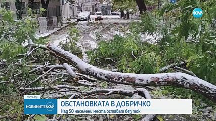 Каква е обстановката в Добричко след бурята