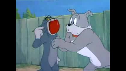 Tom and Jerry The Truce Hurts!