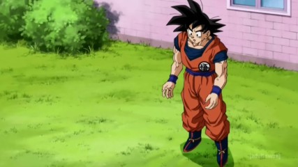 Dragon Ball Super 43 - Goku's Energy is Out of Control? The Struggle to Look After Pan!