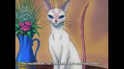 tokyo mew mew episode 29 part 1 