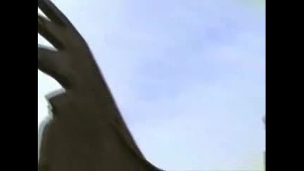 Wild Force Episode 1 Part 1