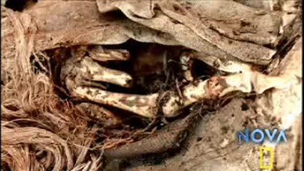 First Gunshot Victim In The New World - Ng