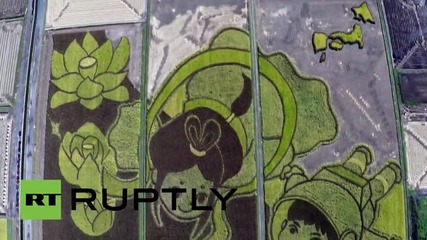 Япония: Дрон показва красиво артполе от ориз, което е в Рекордите на Гинес