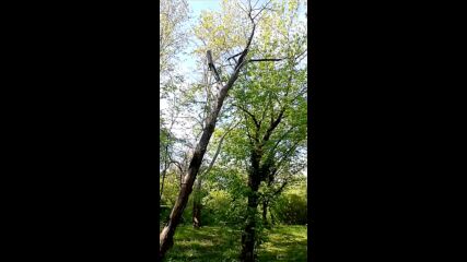Vid_20230429_100120.mp4