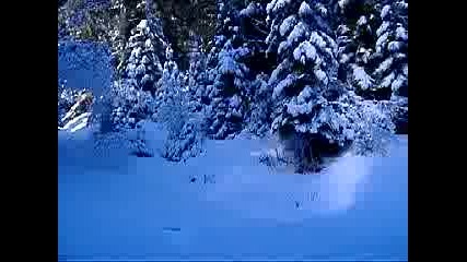 Borovets Mountain 