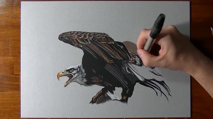 Страхотна реалистична рисунка на орел!