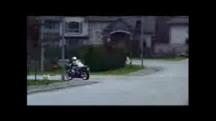 suzuki.3gp