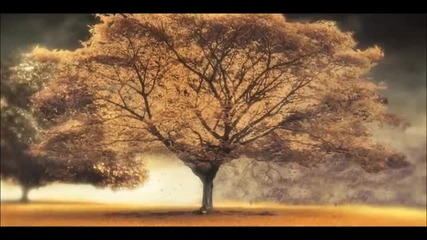 Arash - Broken Angel ( Official Video)