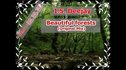 I.s. Deejay - Beautiful forests (orginal Mix)