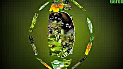 Dew drop (harmat csepp)
