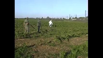 Remi Gaillard - Rabbit 