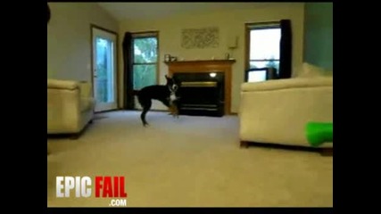 People Fail « Epic Your Source for Epic and Pictures, Videos, and Stories9