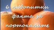 6 любопитни факта за портокалите