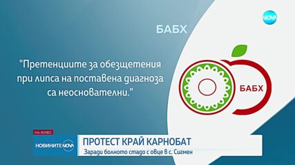 Протест и блокада край Карнобат заради болното стадо овце в с. Сигмен