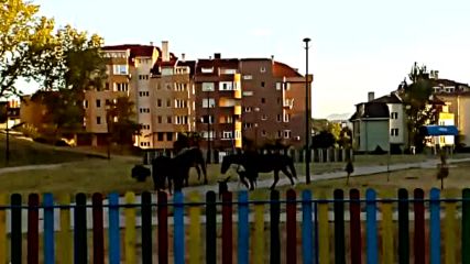 Парк в жк. “Еленово“ в Благоевград