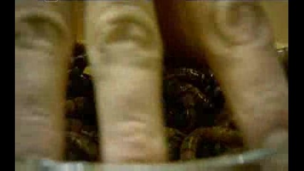 Страх 03 - 03 - 2009 Второ Изпитание