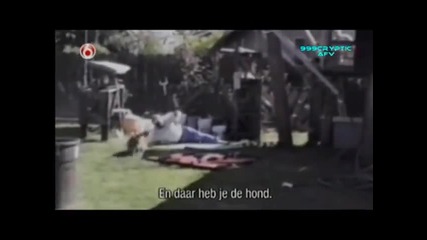 Издънки с кучета