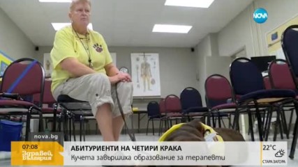 Кучета завършиха образование за терапевти