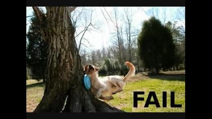 Failures Of The World (hq) 