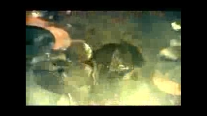 Obituary - Insane [official Video]