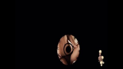 Hey senorita