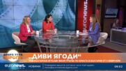„Диви ягоди“: Нов български игрален филм тръгва по кината в България от 6 февруари