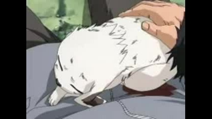 Kiba And Akumaru. 