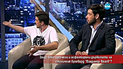 Защо бяха изсечени и асфалтирани дървета в столицата?