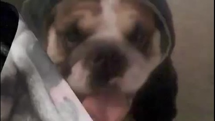 The Diary of Winston