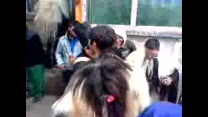 Mov0004a.3gp