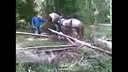Kon Za Trypi.3gp