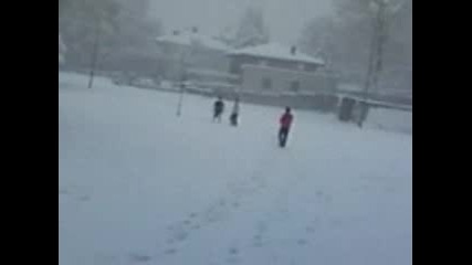 idiot ot svishtov