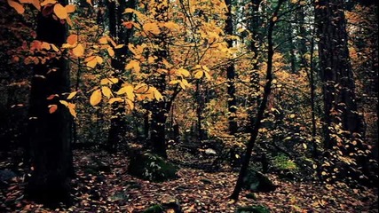Есен в Йосемити ..