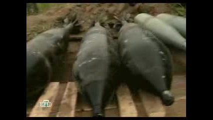 Военное Дело - Миномет Тюльпан (2)