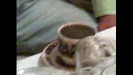 Пиянски работи-разбъркване на кафе с вилица