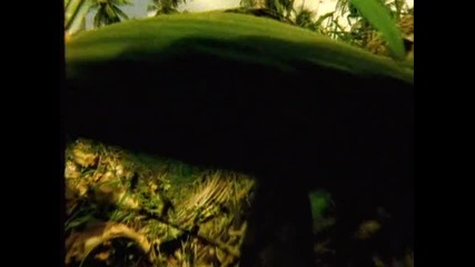 The Prodigy - Voodoo People