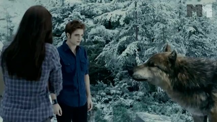 Twilight Eclipse - Vampires vs. Werewolves First Look Us 