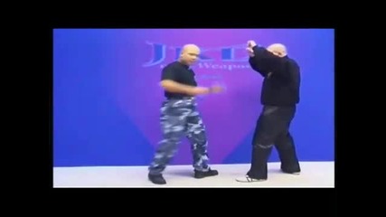 Jit Kun Do Training With Master Wong