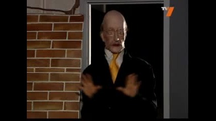 Много Големи Гаври С Полетиците