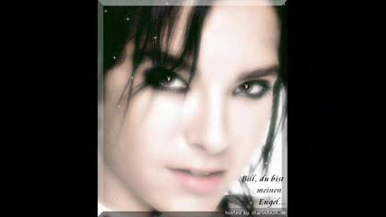 Bill Kaulitz 4ever And Ever !
