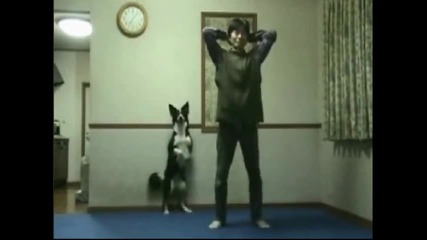 Dog Exercises with his Owner