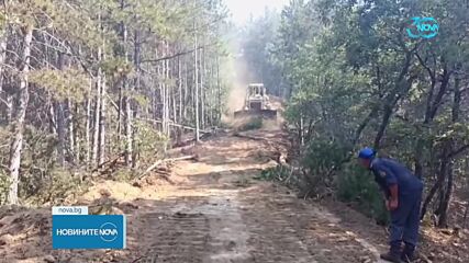 Огнеборци преградиха пътя на пожара в Малешевската планина