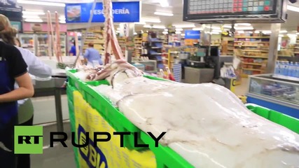 Испания: Звяра от дълбините! Огромня сепия смайва хората на пазара в Сантандер