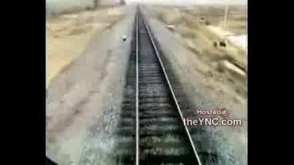 Влак прегазва крави 