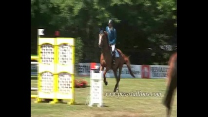 Crazy Horse Jumping 